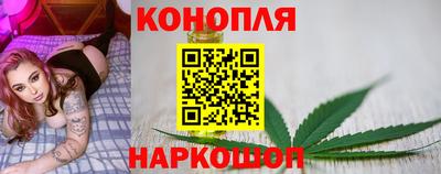 сатива Донской